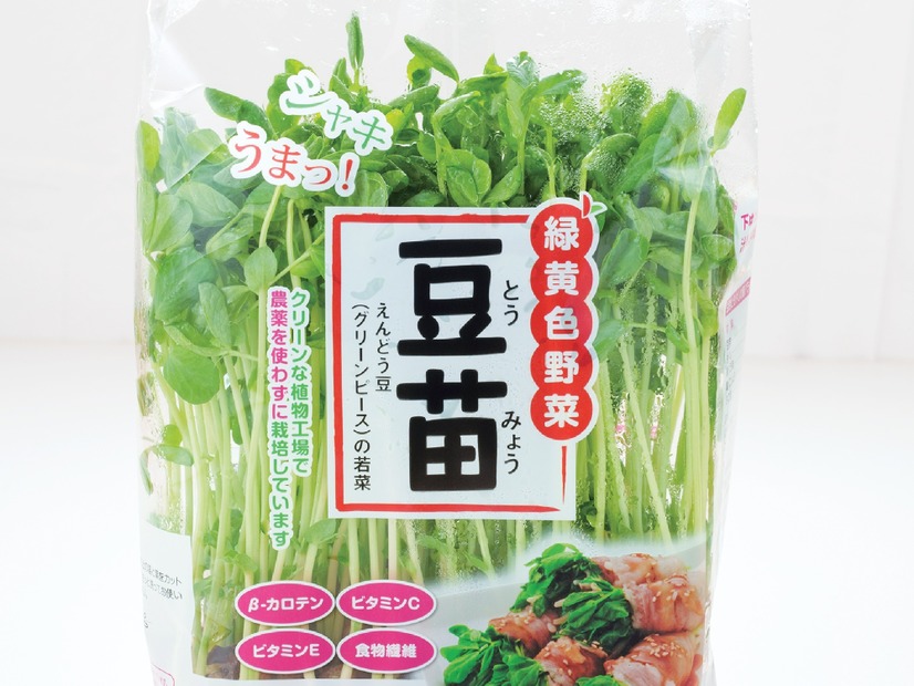 その豆苗、本当に新鮮？ プロが教える「おいしい豆苗」の見分け方と長持ちさせる保存術