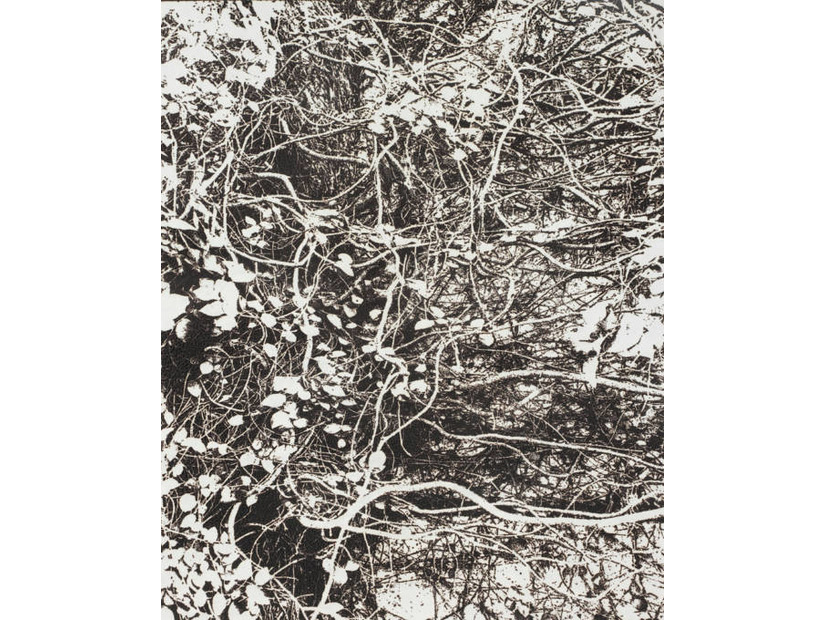 市川孝典、個展「FLEETING DAYS」10月7日より渋谷・NONLECTURE book/artsで開催