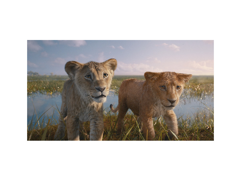 『ライオン・キング：ムファサ』© 2024 Disney Enterprises, Inc.