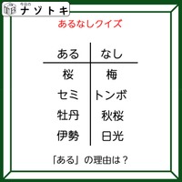 あるなしクイズです！「桜にあって梅にない！」答えは美味しいアレ！【難易度LV２.・甘口】