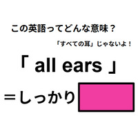 この英語ってどんな意味？「all ears」