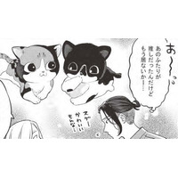 子猫二匹との出会いが運命を変える？…貧乏作曲家、里親へ一歩前進？【借金1000万作曲家の人生を変えてくれた猫の話 #３】