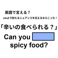 英語で「辛いの食べられる？」はなんて言う？