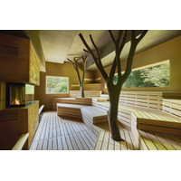 里山の自然活かした“山＆滝サウナ”が革新的！千葉「SATOYAMA TERRACE」で新感覚のリフレッシュ体験
