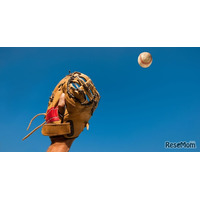 【高校野球2025夏】＜第12日目＞準々決勝進出校決定へ 8月17日の対戦カードと試合開始時間…第11日目の結果も