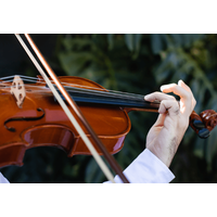 ウィーンを歩いていると…→「すごい！」思わず”立ち止まるの光景”に「さすが音楽の都」