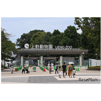 動物園・美術館など22施設が無料「都民の日」10/1