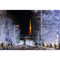 六本木ヒルズ冬の風物詩「けやき坂イルミネーション」11月4日点灯、恒例のクリスマスマーケットも開催