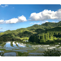 サウナ付隠れ家や無印初の古民家宿も、日本の原風景が残る千葉・鴨川の古民家宿＆カフェ5選