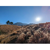 ウイルスや寒さの影響で体調を崩しがちな「冬至」の時季、「意外な３つの海鮮」を食べるべし？１つは赤くて２つは白くて