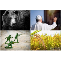 【中学受験2026】速報11・12月実施の入試「時事問題」ローマ教皇・近年の紛争・コメ・熊など