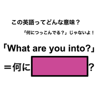 この英語ってどんな意味？「What are you into?」