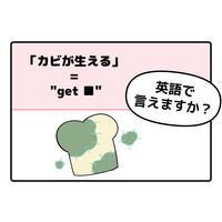 英語で「カビが生える」はなんて言う？【マンガで英会話】