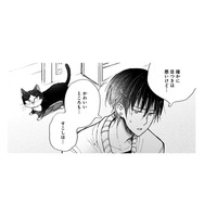 【猫視点】私の役目、わかってるから!! あなたをちゃんと守ってあげるから、安心しなさいよねっ！【同居人はひざ、時々、頭のうえ。 #54】