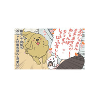 「お散歩行こうか」の声に大興奮…うれしくて何度も報告する愛犬の姿がかわいい【おさんぽですし！　おしゃべり犬とイライラ猫の日記 #17】