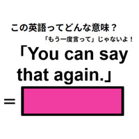 この英語ってどんな意味？「You can say that again.」