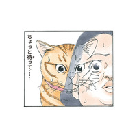 いつの間にかしっぽが２本に…動揺していたら人間にぶつかり、猫と人が入れ替わる!?【かのこちゃんとマドレーヌ夫人 #９】