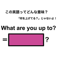 この英語ってどんな意味？「What are you up to?」
