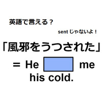 英語で「風邪をうつされた」は何て言う？