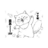 「猫って素晴らしい」誰も私を気に留めないから、好きな時に好きな場所へ行ける！【根暗騎士による溺愛満喫中のブサ猫、実は聖女です！#22】