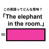 この英語ってどんな意味？「The elephant in the room.」