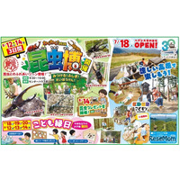 【夏休み2026】約100匹が集結「昆虫博」富士見台高原
