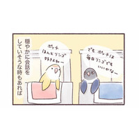 隣同士のケージで暮らす2羽のインコ。一体どんな会話をしているの？【うちのインコたちは今日もおしゃべり #２】