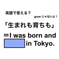 英語で「生まれも育ちも」は何て言う？