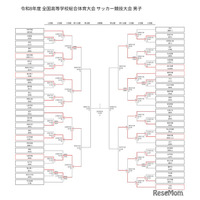 高校サッカー男子インターハイ、桐光や桐蔭が8強入り…ベスト8出揃う