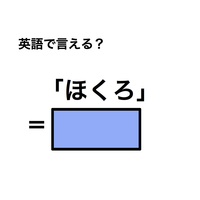 英語で「ほくろ」は何て言う？
