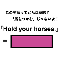 この英語ってどんな意味？「Hold your horses.」