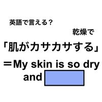 英語で「肌がカサカサする」は何て言う？