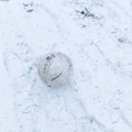 ウォーリーをさがせか！「真っ白ユニフォーム」で雪の試合を戦うとこうなる
