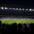 EURO2020決勝、ウェンブリーに虫の大群襲来か