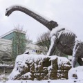 雪に覆われたJR福井駅前の恐竜モニュメント＝18日午前8時37分
