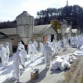 岩手県久慈市の養鶏場で殺処分の準備を進める県職員ら＝12日（同県提供）