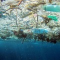 海に浮かぶ大量のプラスチックごみ（米海洋大気局提供）
