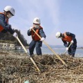 岩手県陸前高田市の沿岸で行方不明者の手掛かりを求めて捜索する大船渡署員ら＝11日午前10時23分