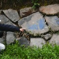 名古屋城二ノ丸の外堀石垣で見つかった落書き＝15日午後、名古屋市