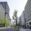 大阪・御堂筋のオフィス街＝2021年4月