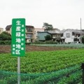 東京都板橋区の「生産緑地」（国交省提供）