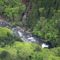 発見は子どもの骨か、山梨 画像