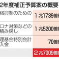 補正予算案を国会提出 画像