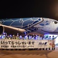 定期運行を再開したA380を見送る全日空グループの社員＝1日午後、成田空港