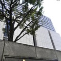 東京地裁、東京高裁などが入る裁判所合同庁舎＝東京・霞が関