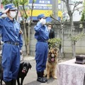 警察犬の慰霊祭で慰霊碑に向かい敬礼する警視庁鑑識課の担当者＝11日午前、東京都板橋区