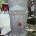 奈良・春日大社の灯籠にペンキか 画像