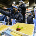 大阪市中央卸売市場で開かれた塩かずのこの初競り＝18日午前
