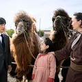 「VIVANT」（C）TBS