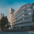 Sexy Zone、12月までグループ名継続へ 菊池風磨がデビュー曲「Sexy Zone」についても言及
